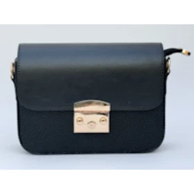 کیف پاسپورتی مجلسی پارسین