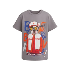 تیشرت آستین کوتاه پسرانه مدل PJ1073 رنگ طوسی