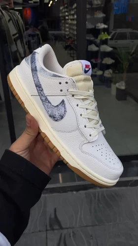 کتانی نایکی nike sb