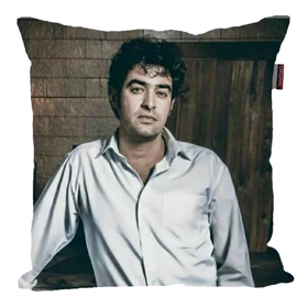 کوسن مدل شهاب حسینی کد 2644