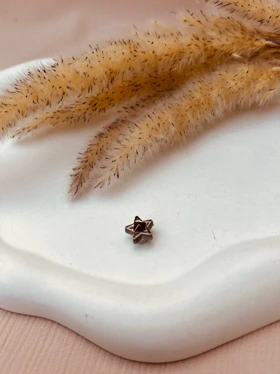 پیرسینگ مگنتی گوش بدون نیاز به سوراخ