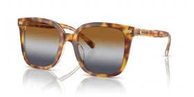 عینک آفتابی کوچ Coach HC8381U (پلنگی)