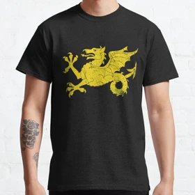 تیشرت house of the dragon طرح Wessex Wyvern Dragon T-Shirt کد 194935