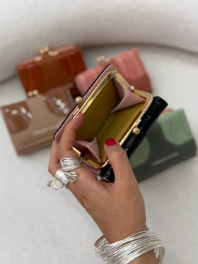 کیف پول وارداتی آیلی