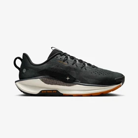 کفش ورزشی نایک پگاسوس تریل 5 Nike Pegasus Trail