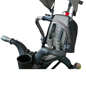 سه چرخه فلامینگو کیوپلی مدل دونا QPlay Doona