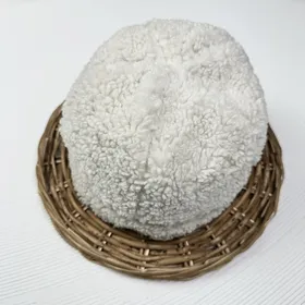 کلاه لئونی تدی