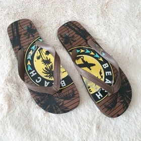 دمپایی لاانگشتی ابری مردانه هاواینس کد Z-YH54