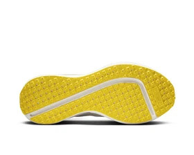 کفش دویدن Nike W Interact Run PC_FD2292-011