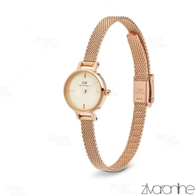 ساعت دنیل ولینگتون زنانه بند رزگلد صفحه نباتی 106648