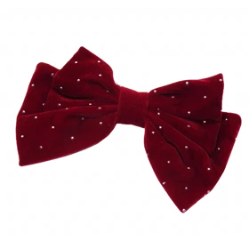 گیره مو زنانه مدل فرانسوی نگین‌دار کد G_Lnd_3178