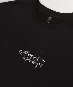 تیشرت لش مینیمال طرح نروژ 1705