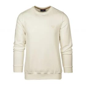 سویشرت مردانه مدل SB-SS-3646-D3