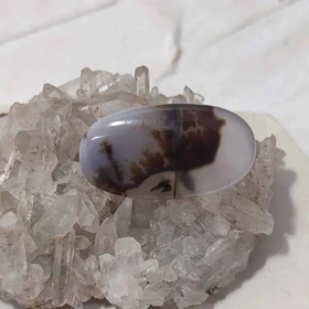 عقیق شجر قائن اصل کد 1