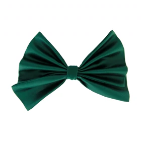 گیره مو زنانه طرح پاپیونی