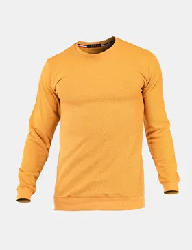 بلوز مردانه Polo