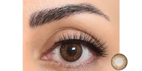 لنز رنگی سالانه فستیوال Festival Morning Q (Brown 3T (قهوه ای عسلی دورمشکی))