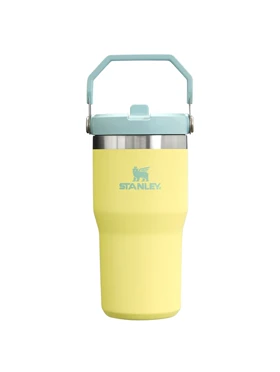 قمقه استنلی The IceFlow Flip Straw Tumbler 20 OZ (لیمویی)