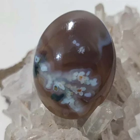 عقیق شجر بهاری با زمینه خرمایی