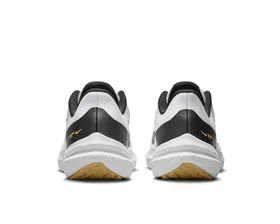 کفش دویدن Wmns Air Winflo 9 PC_DD8686-104