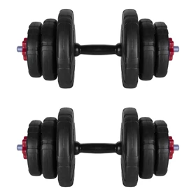 دمبل رادیس فیت مدل DVP-10mix1-v1 وزن 10 کیلوگرم بسته 2 عددی