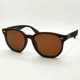 ریبن 4903 BROWN