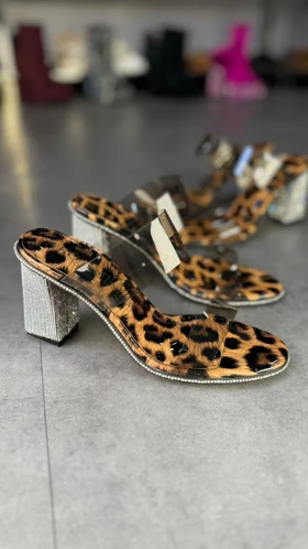 p499 - طلق زیره نگینی p499