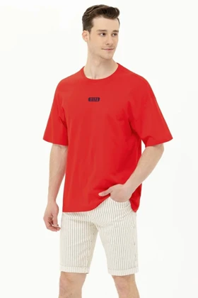 تیشرت مردانه اورجینال یو اس پولو u.s.-polo-assn.