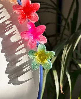 کلیپس رسمی پلاستیکی