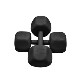 دمبل رادیس فیت مدل RFP-6 Power وزن 6 کیلوگرم بسته بندی دو عددی