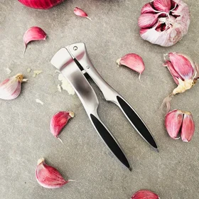 سیر له کن دسته بادامی شنگیا