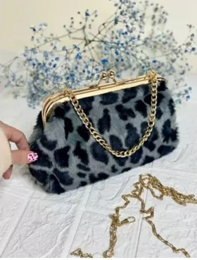 کیف مجلسی تدی