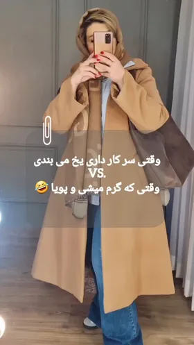 پالتو کشی