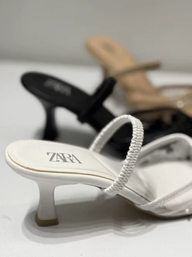 مجلسی زارا مرواریدی