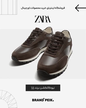 کفش زارا
