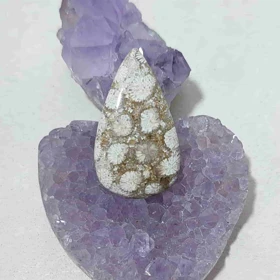 نگین مرجان فسیلی اصل 13