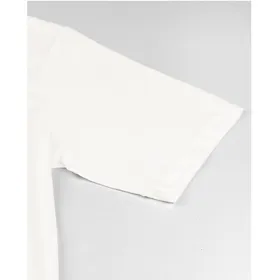 تیشرت آستین کوتاه مردانه مدل SB-SS-2184