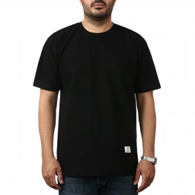 تیشرت آستین کوتاه بیسکوییتی مردانه کاکتوس مدل 2511243