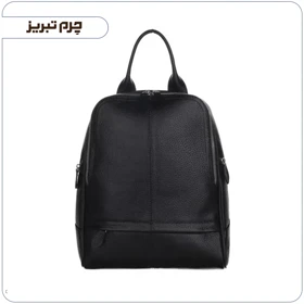 کوله پشتی دانشجویی چرم کد BT8