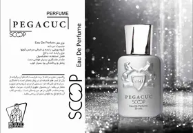 ادکلن مردانه PEGACUC
