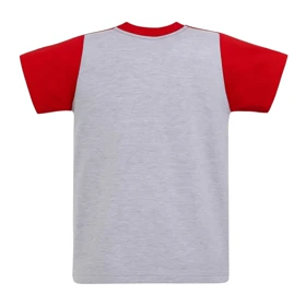 ست تیشرت آستین کوتاه و شلوارک راحتی پسرانه مدل PJ1199