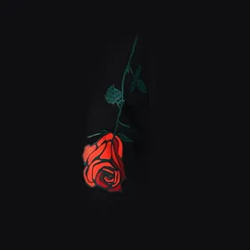 تیشرت زنانه لانگ طرحدار مشکی