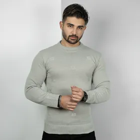 پلیور زاپ‌دارکرم مردانه مدلDeta