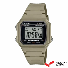 ساعت مچی مردانه کاسیو CASIO مدلW-217H-5AVDF