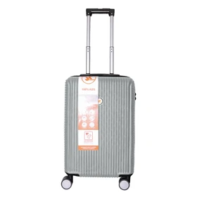 چمدان MR مدل برانفیت لاین سایز کوچک (نقره ای)