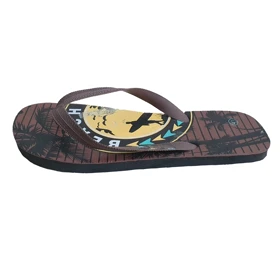 دمپایی لاانگشتی ابری مردانه هاواینس کد Z-YH54