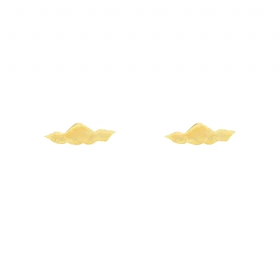 گوشواره زنانه مدل موج