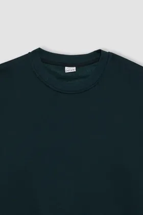 سویشرت سایز بزرگ T5139AZ23AU