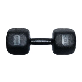 دمبل رادیس فیت مدل RFP-10000 وزن 10 کیلوگرم