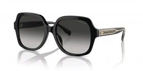 عینک آفتابی کوچ Coach HC8395U